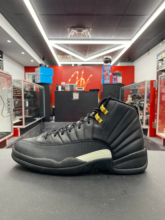 Air Jordan 12 Retro